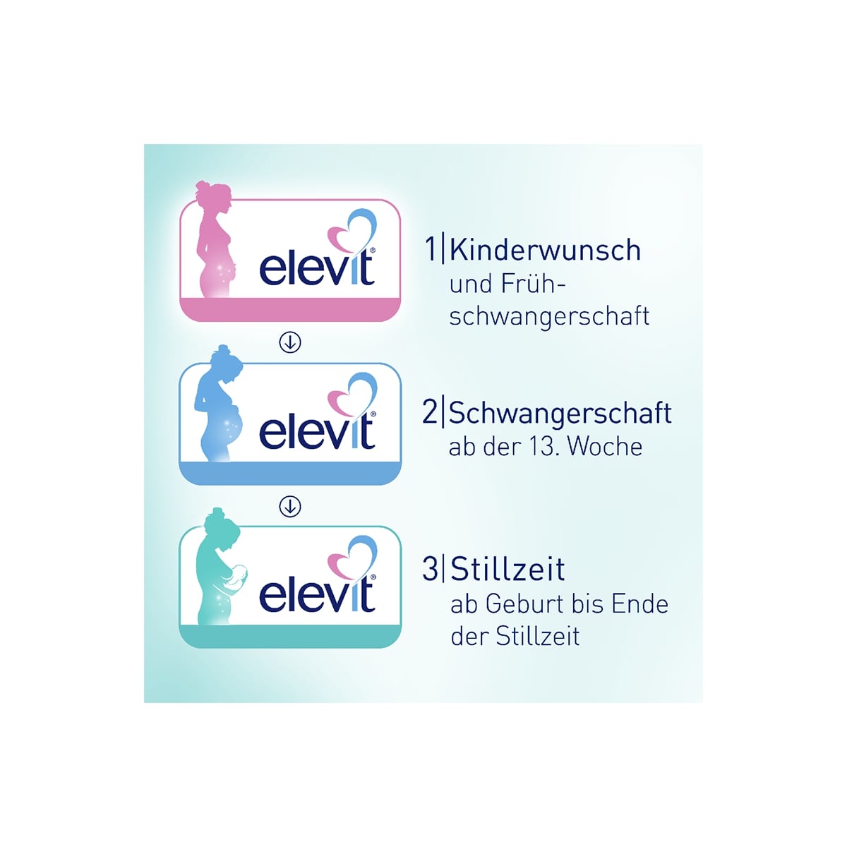 Elevit 3